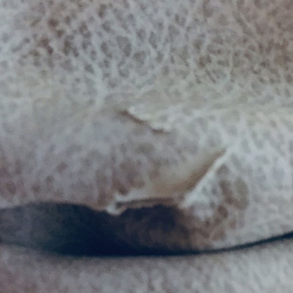 Mary Frances Purse - Picture 7 of 7